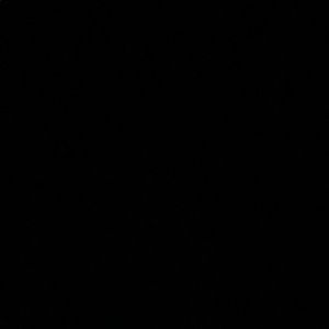 Meet your Posher, Elaine